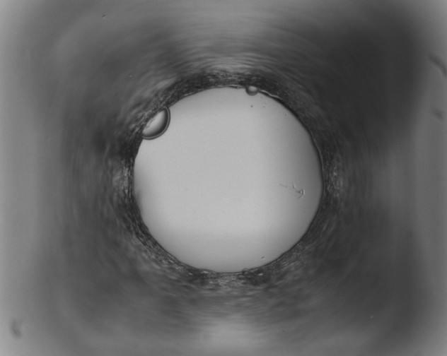 X0000103431061200809261725