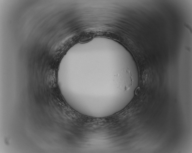 X0000103431062200809261725