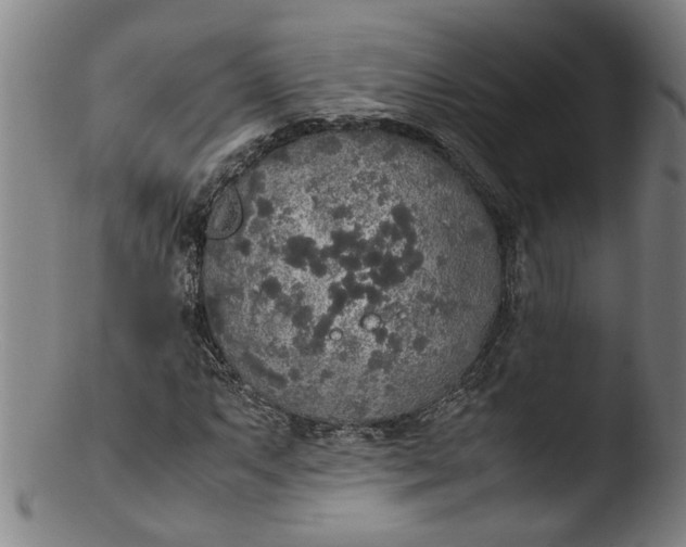 X0000103431063200809261725