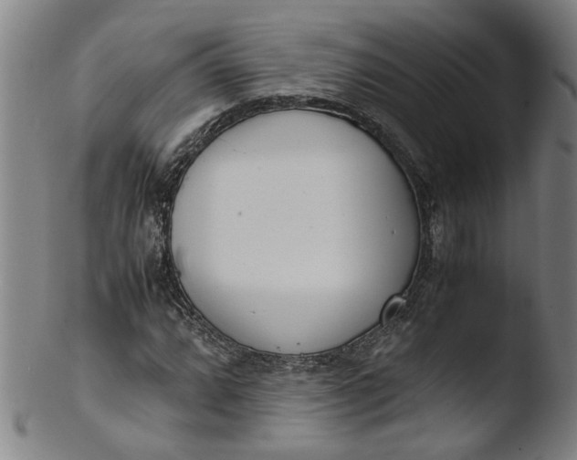 X0000103431064200809261725