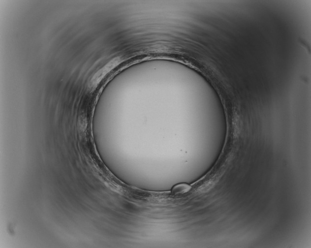 X0000103431065200809261725