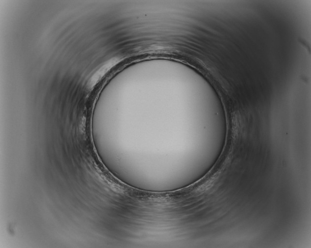 X0000103431066200809261725