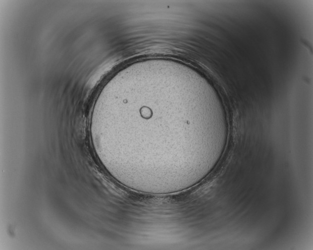 X0000103431067200809261725