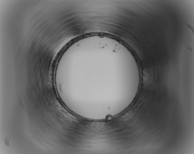 X0000103431068200809261725