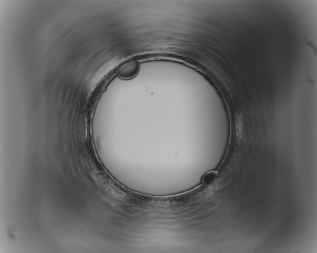 X0000103431069200809261725