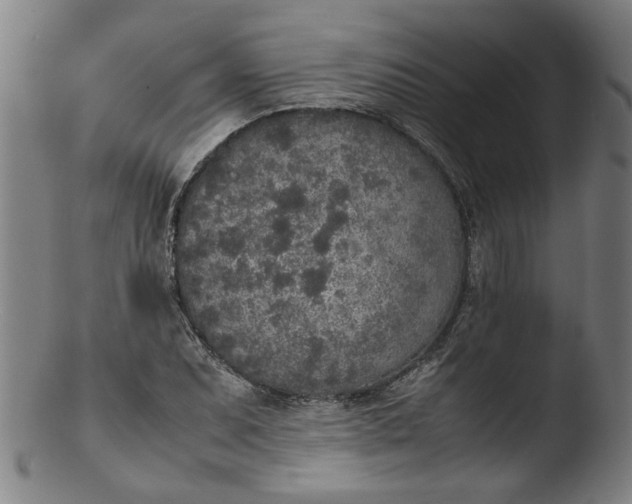 X0000103431071200809261725