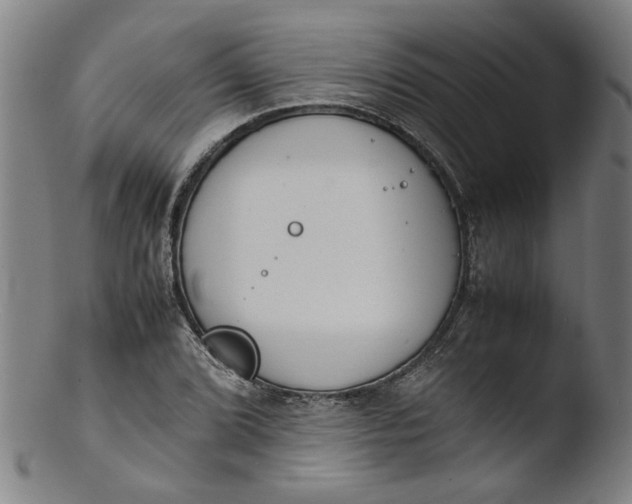 X0000103431072200809261725