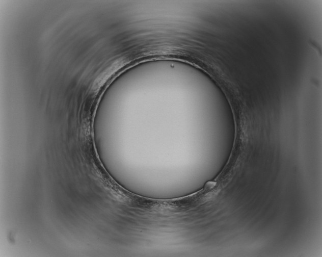 X0000103431073200809261725