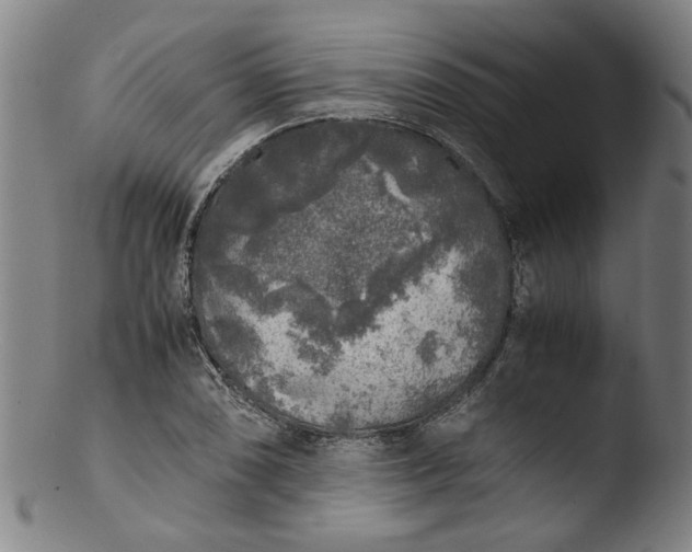 X0000103431074200809261725