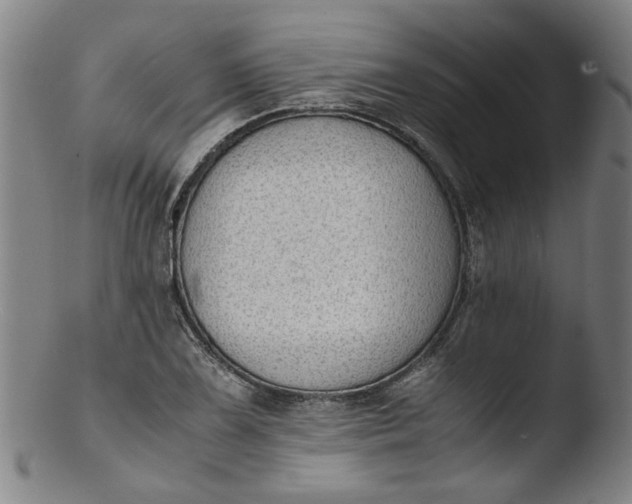 X0000103431075200809261725