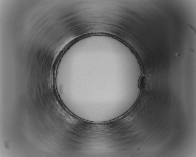 X0000103431076200809261725