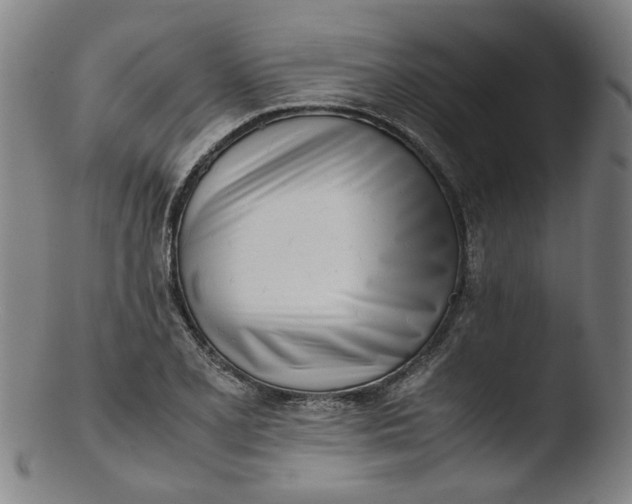 X0000103431077200809261725