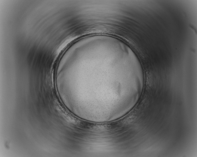 X0000103431078200809261725