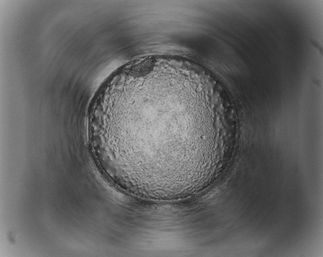 X0000103431079200809261725