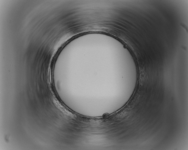 X0000103431080200809261725