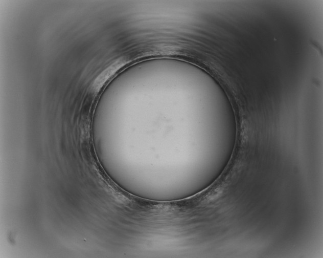 X0000103431081200809261725