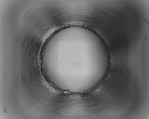 X0000103431082200809261725