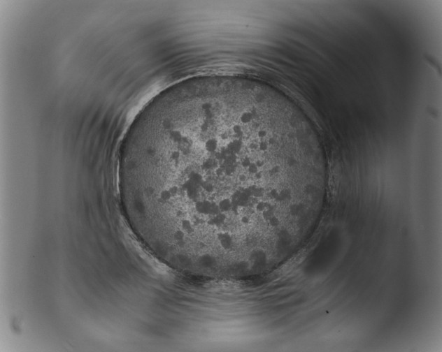 X0000103431083200809261725