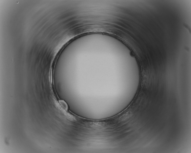 X0000103431084200809261725