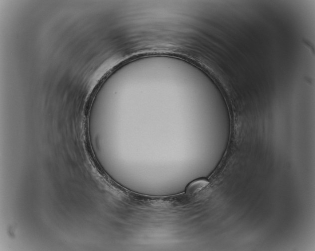 X0000103431085200809261725