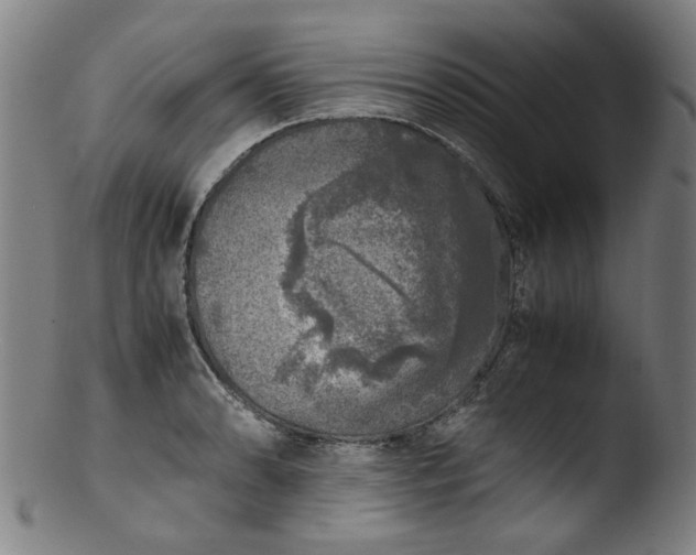 X0000103431086200809261725