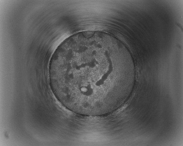 X0000103431087200809261725