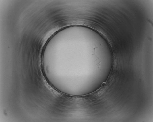 X0000103431088200809261725