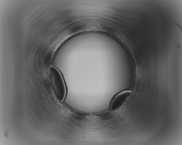 X0000103431089200809261725