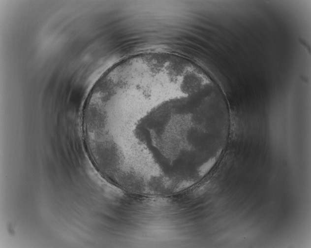 X0000103431090200809261725