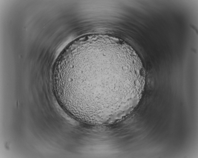 X0000103431091200809261725