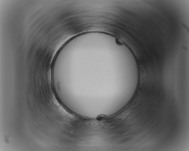 X0000103431092200809261725