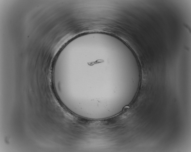 X0000103431093200809261725