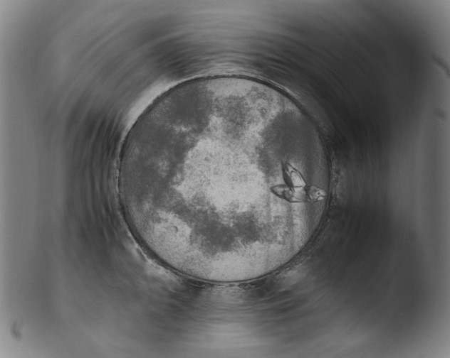 X0000103431094200809261725