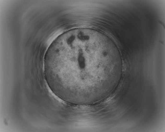 X0000103431095200809261725