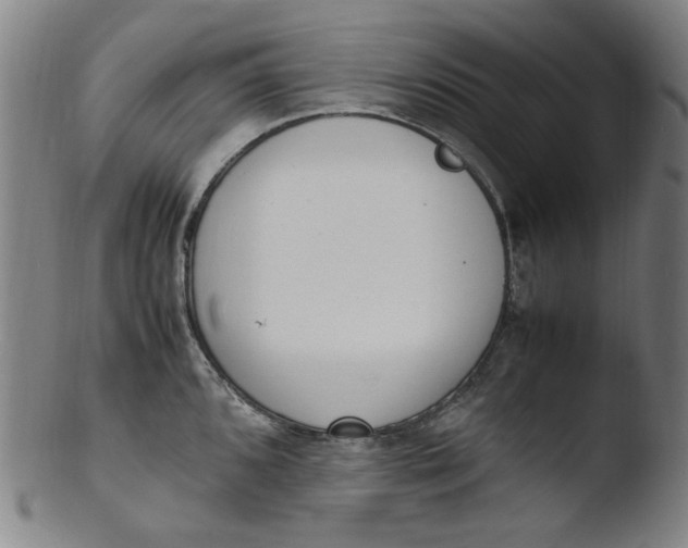 X0000103431096200809261725