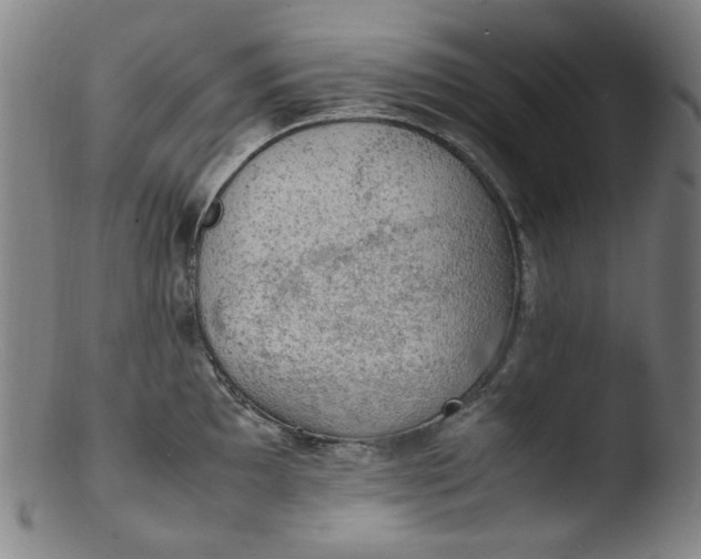 X0000103431097200809261725