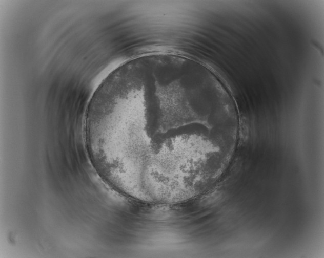 X0000103431098200809261725