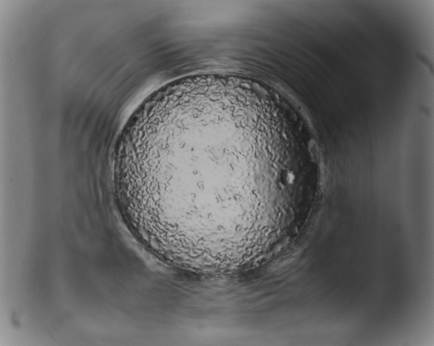 X0000103431099200809261725