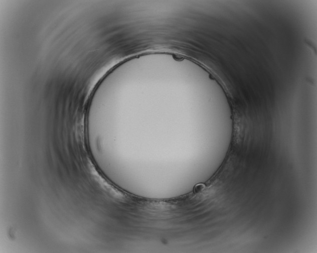 X0000103431100200809261725