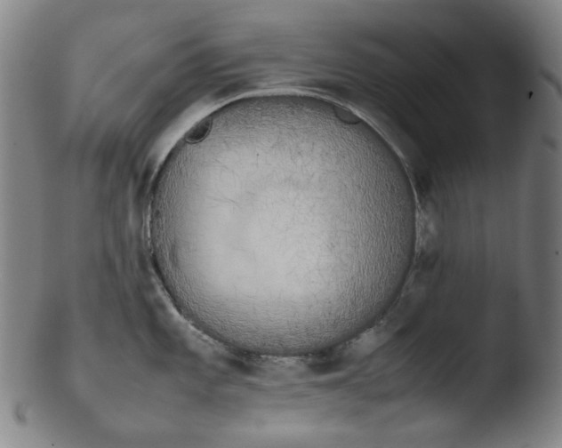 X0000103431101200809261725