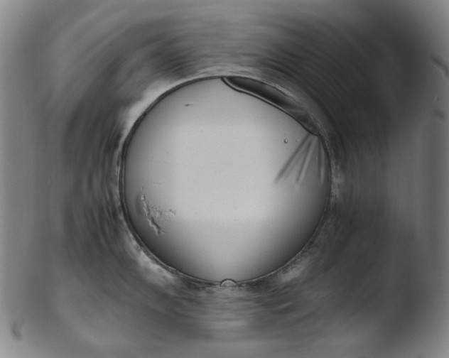 X0000103431102200809261725