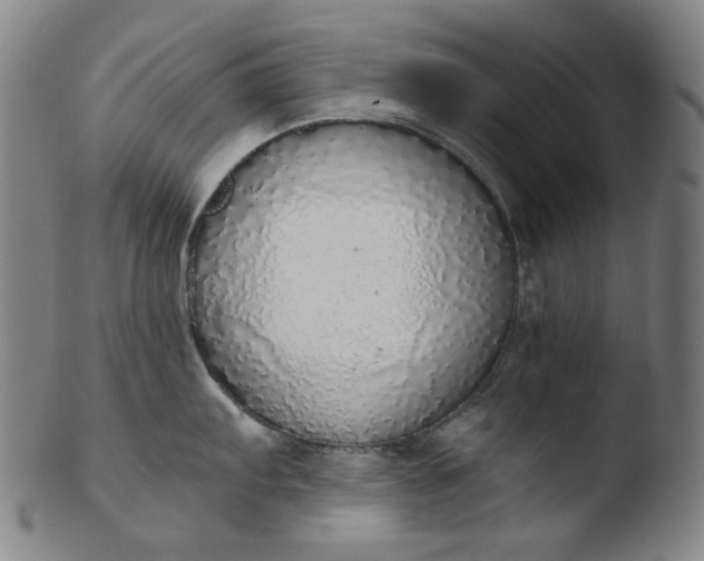 X0000103431103200809261725