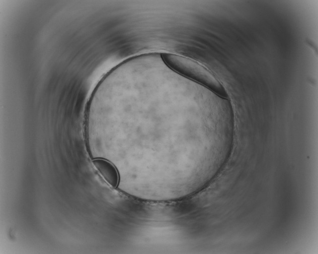 X0000103431104200809261725