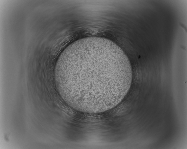 X0000103431105200809261724