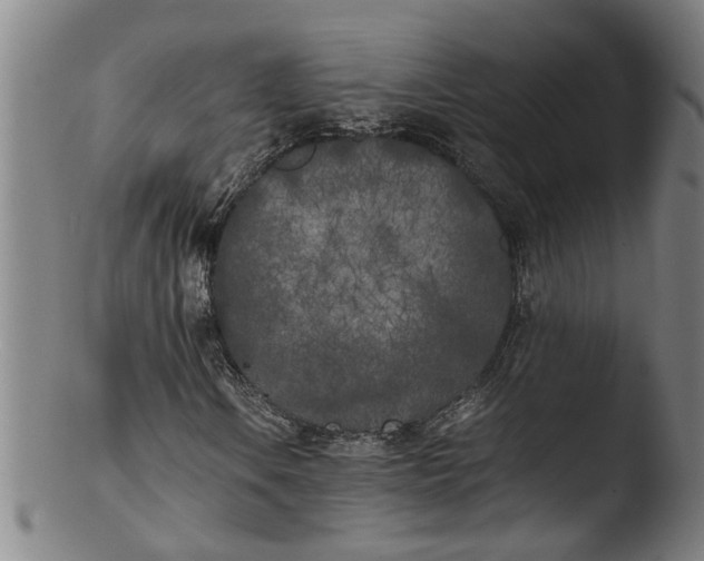 X0000103431106200809261724