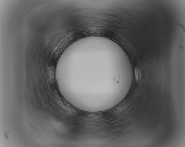 X0000103431107200809261724