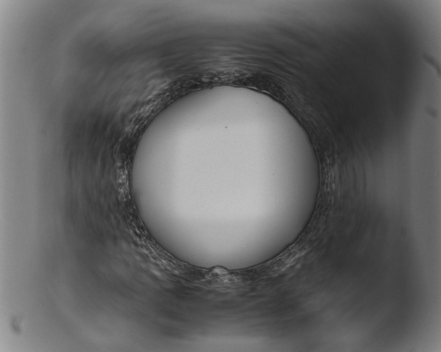 X0000103431109200809261724