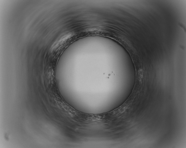 X0000103431111200809261724