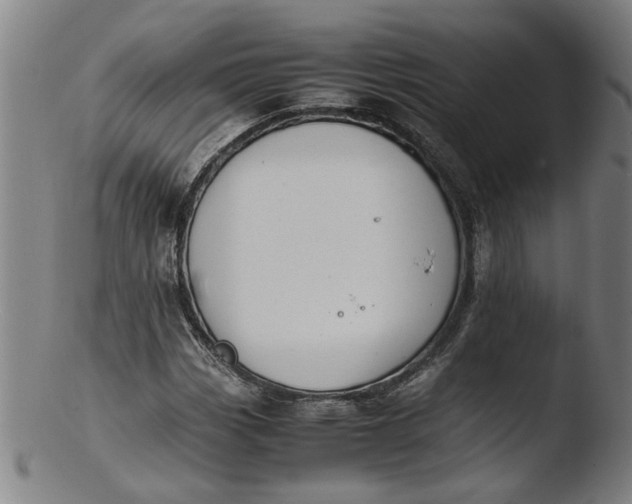 X0000103431113200809261724