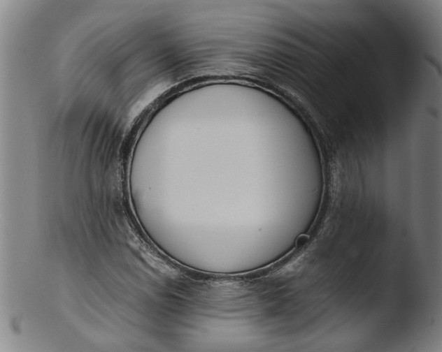 X0000103431114200809261724